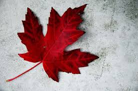 Canada_leaf