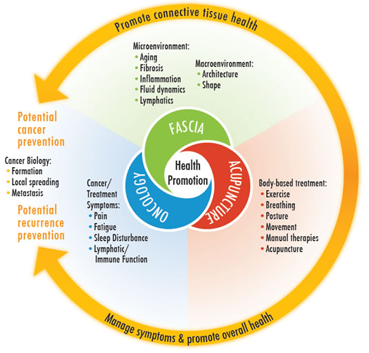 Fascia-Oncology-Acupuncture