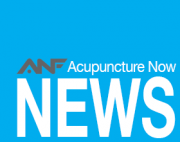 ANF news-logo